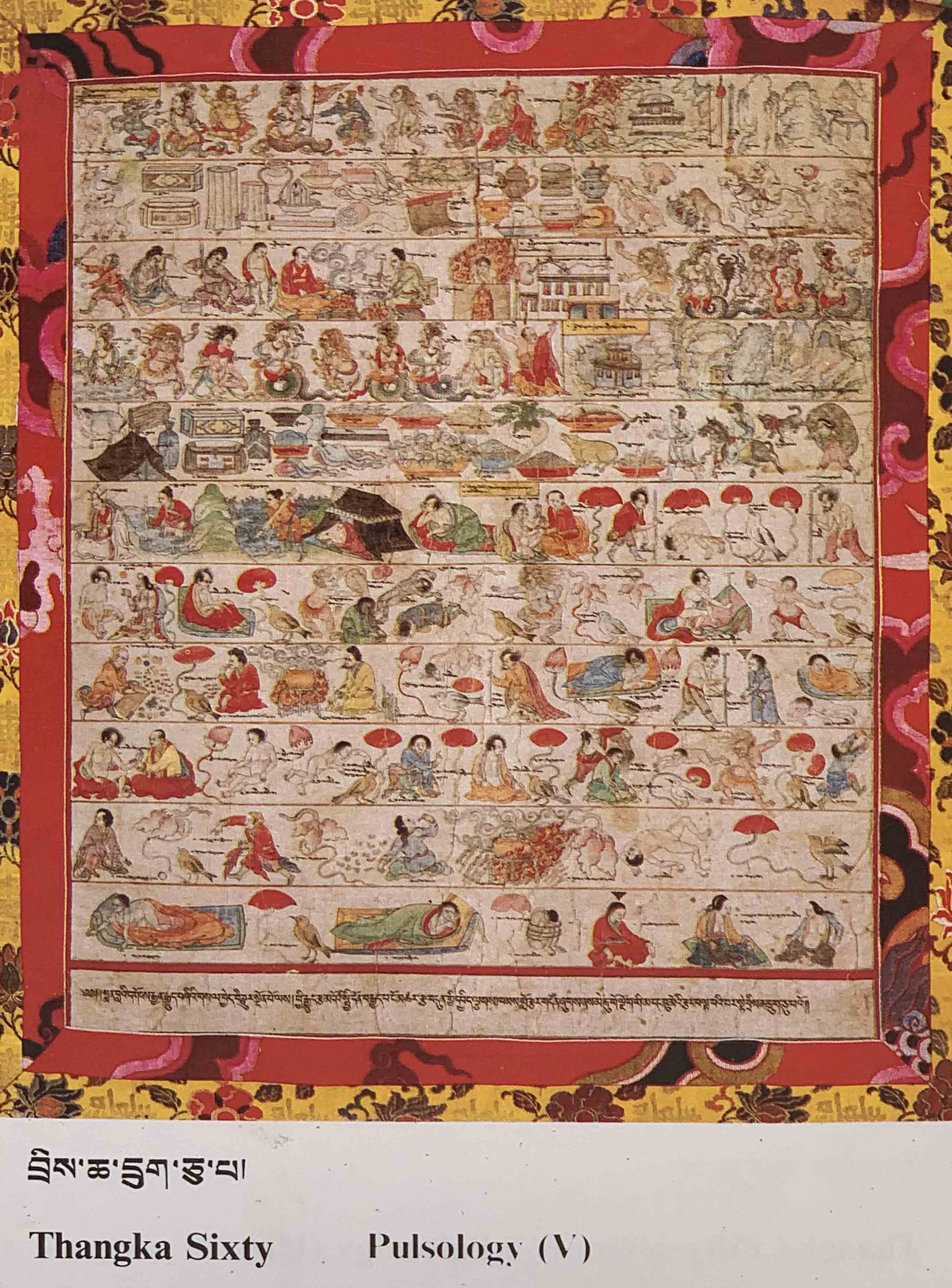 八十一醫典唐卡46--60